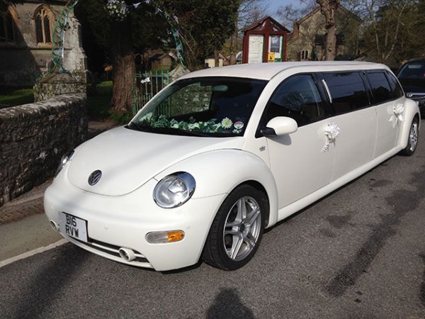 Stretched Beetle